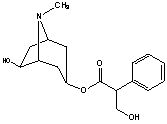 消旋山莨菪堿